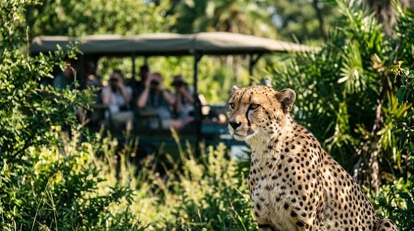Safari World & Marine Park Excursion by Patel World Tour